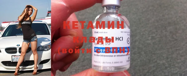 индика Вяземский