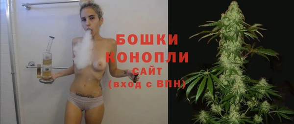 дживик Вязьма