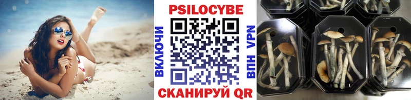 Псилоцибиновые грибы GOLDEN TEACHER  Городище 